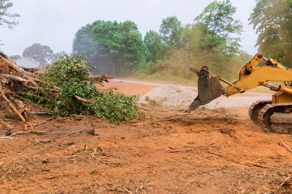 Ground Clearing in Dacula