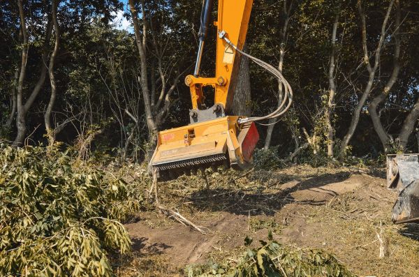 Brush Removal Service in Dacula