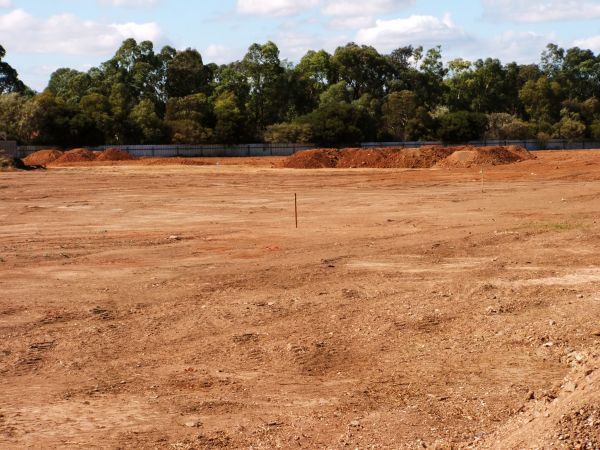 Cost of Field Clearing in Dacula