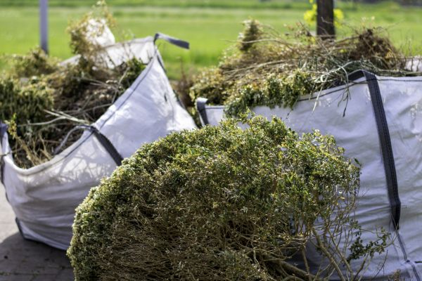Cost of Bushes Clearing in Dacula