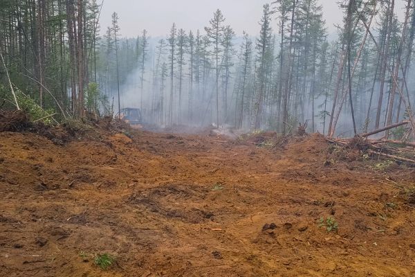 Cost of Hill Clearing in Dacula