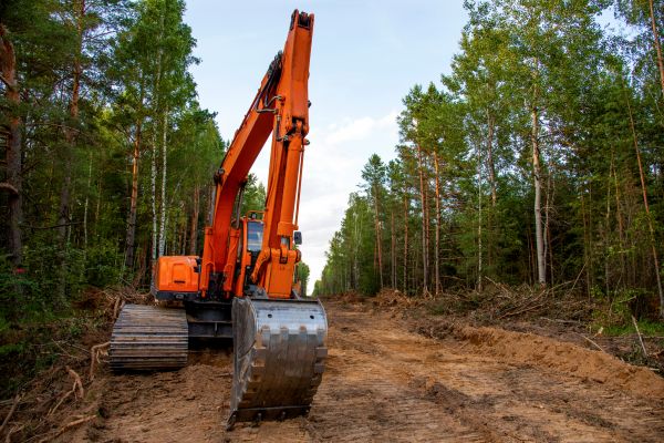 Cost of Backhoe Land Clearing in Dacula